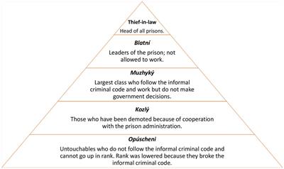 Introducing methadone maintenance therapy into Ukrainian prisons: a qualitative study of criminal subculture, Russia’s full-scale invasion, and contested methadone objects